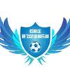 石家庄正定晨飞足球青训头像