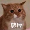 黑皮西瓜头像