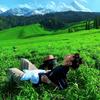 临沂财贸卢老师（招生中）头像