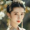 小妮子学Al头像