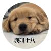张十八🐶头像