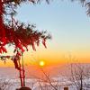 广振爱自由头像