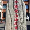 雪域雄鹰头像