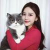 南京小懒猫头像