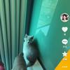 小姐姐头像