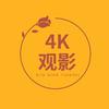 4K观影头像