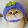 六月六头像