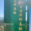 军鸽头像