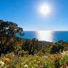 自性本在头像