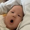 八斤半头像