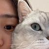 娃娃菜不菜头像