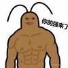 洪世贤小号头像