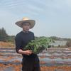 荒山种菜人小谢头像