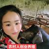 贵州养猪妹（米粒）头像