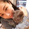 阿里是只猫头像