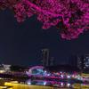 听雨ty头像