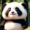 吴昇头像