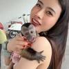 越南萌猴.小可爱头像
