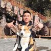 小肥英的房子头像