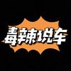 毒辣说车头像