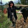凉山阿吉头像