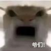 123头像