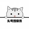 头号观察员头像