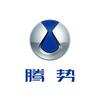 腾势汽车头像