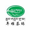年雄茶玛头像
