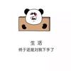 梦幻西游阿飞头像