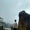 刘叫兽实验室头像