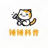 锤锤科普头像