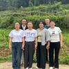 丹桂山歌头像