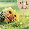 @南风微凉头像