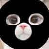 优猫饼公主头像
