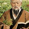 白芷说百草头像