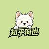 知乎狗也（比熊.西高地）头像