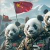 松哥看国际头像