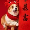 颜值糕的幸福生活头像