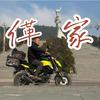 行者阿廷头像