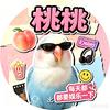 快乐小桃桃头像