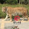 国钦展馆科普仿真动物定制工厂头像