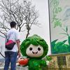 大成强哥头像