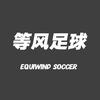 等风足球头像