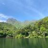 青山烟雨客头像