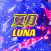 夏月LUNA塔罗头像