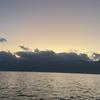政通人和3头像