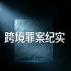 跨境罪案纪实头像