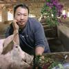 @胖坤…与猪头像