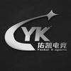 YK佑凯电竞（双端护航）头像